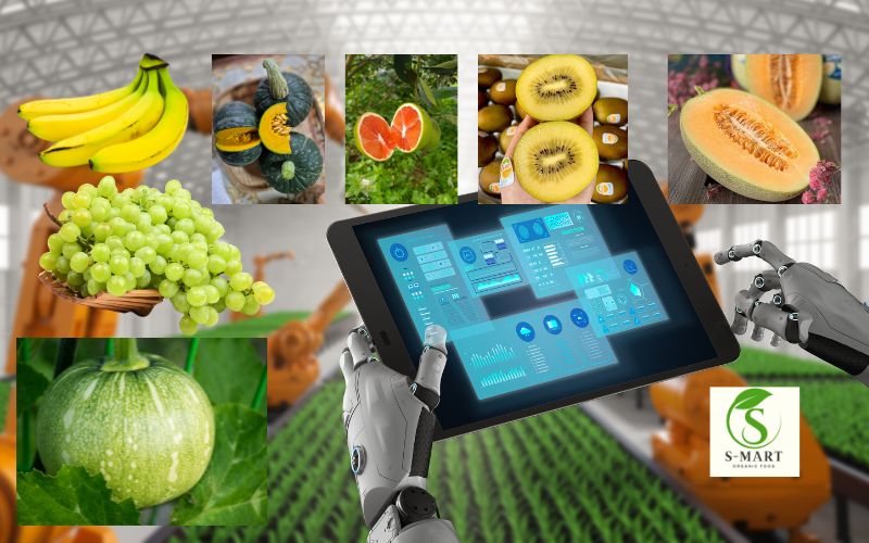 S-Mart trong Chuỗi Phân Phối Nông Nghiệp Xanh Sạch Công Nghệ Cao của Việt nam, góp 1 phần cải thiện sự lãng phí trong nông nghiệp việt nam hiện nay