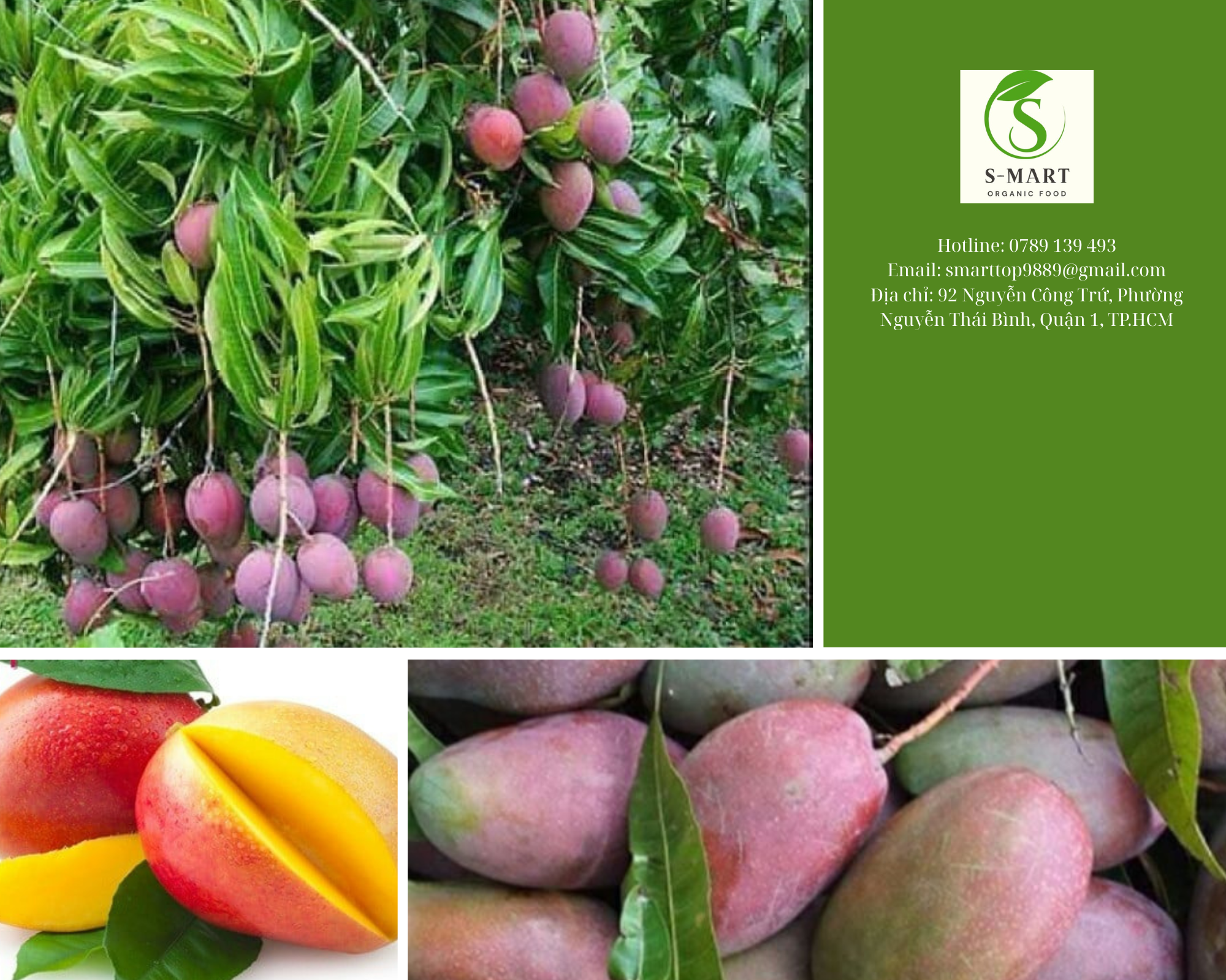 Khám phá Sức Mạnh Vô Song từ Thiên Nhiên: Trái Cây – Báu Vật Dinh Dưỡng Cho Cuộc Sống Khỏe Mạnh Toàn Diện của Bạn 11 Chanh Day 4