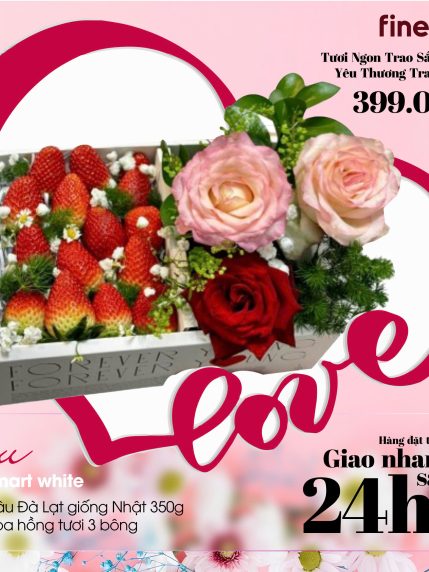Set Quà Tặng 20/10 - Hộp Dâu tây giống Nhật Bản
